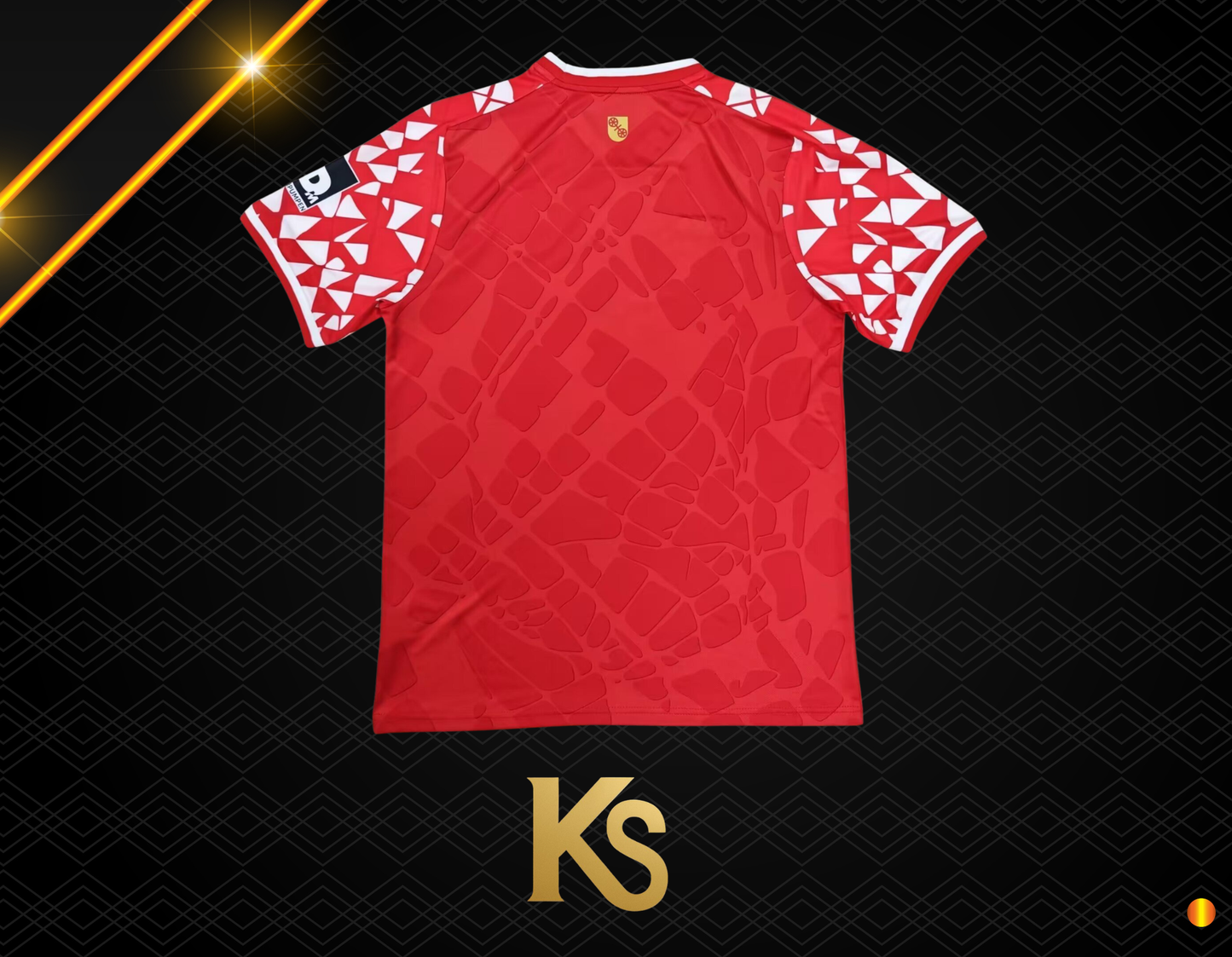 1º CAMISETA FSV MAINZ 05 25/26